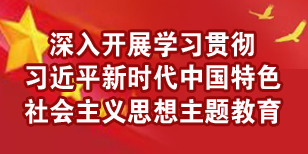 深入开展学习贯彻习近平新时代中国特色社会主义思想主题教育