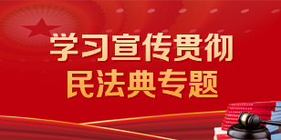 学习宣传贯彻民法典专题