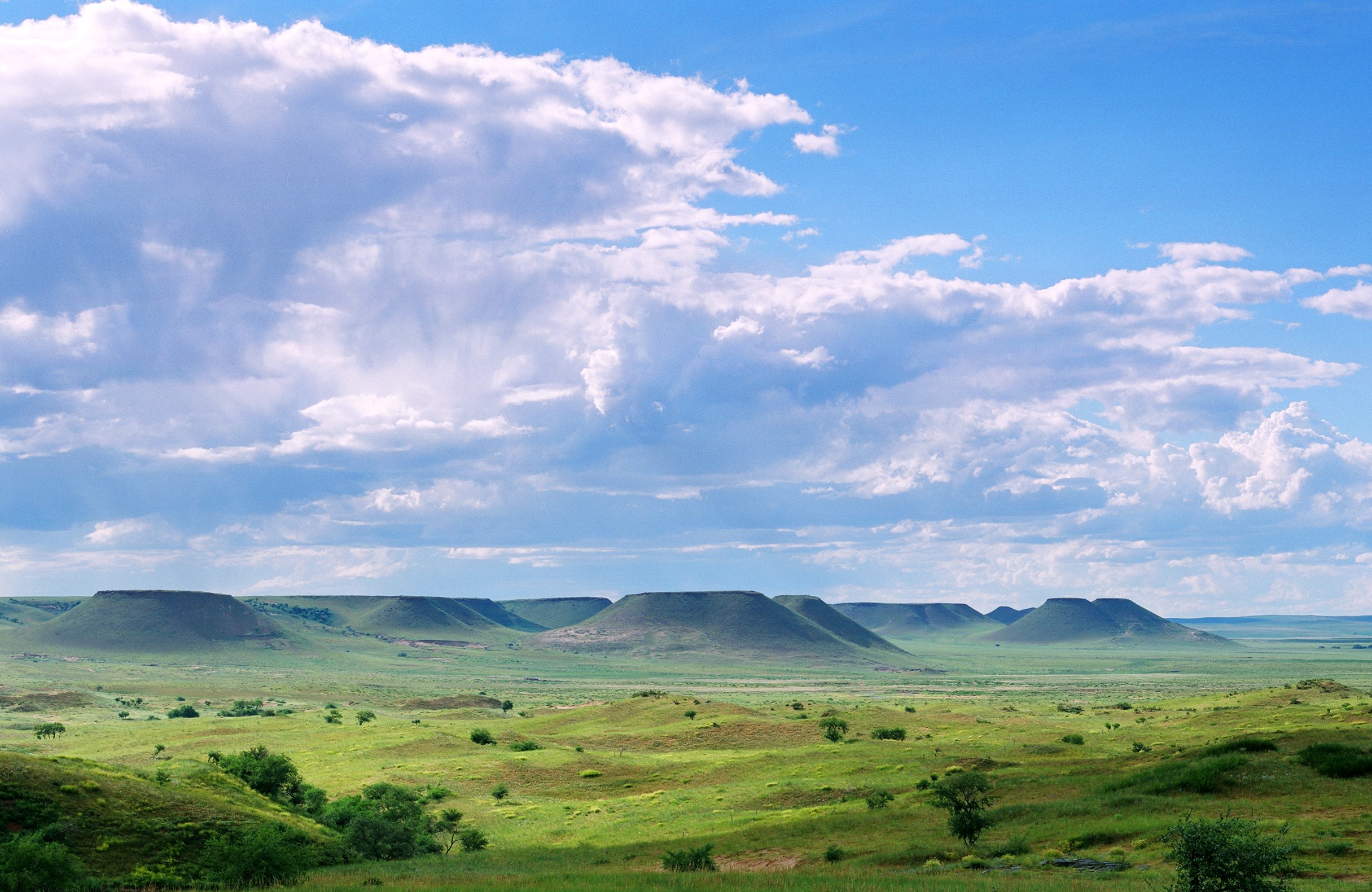 .锡林郭勒草原国家级自然保护区-平...