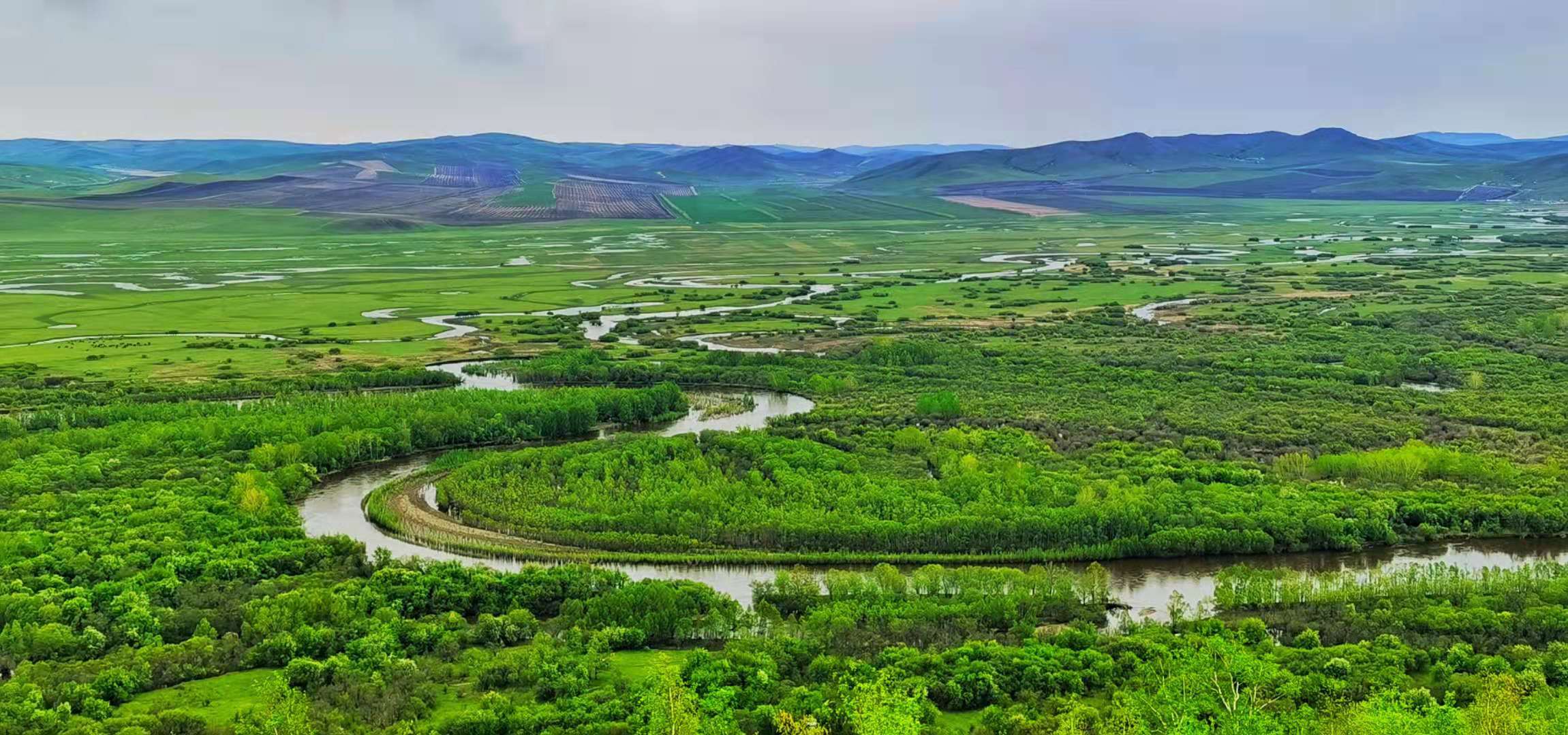 额尔古纳湿地自然保护区景观图