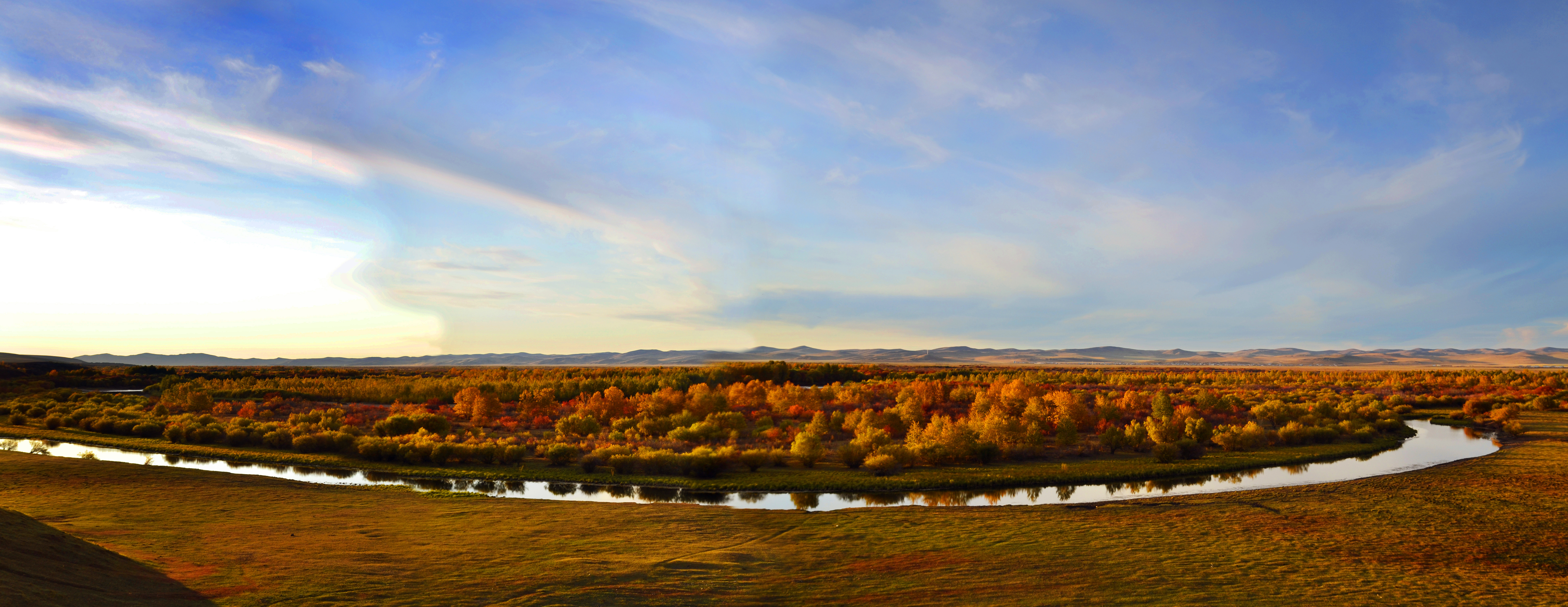 守护多彩湿地，保护野生动物资源