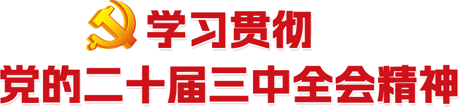 学习贯彻党的二十届三中全会精神