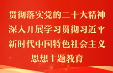 贯彻落实党的二十大精神 深入开展学习贯彻习近平新时代中国特色社会主义思想主题教育