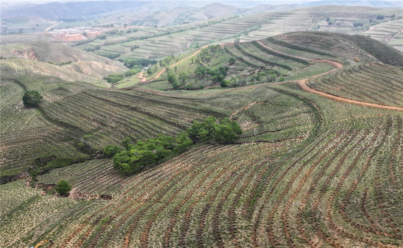 乌兰察布“三北”防护林建设工程全线铺开