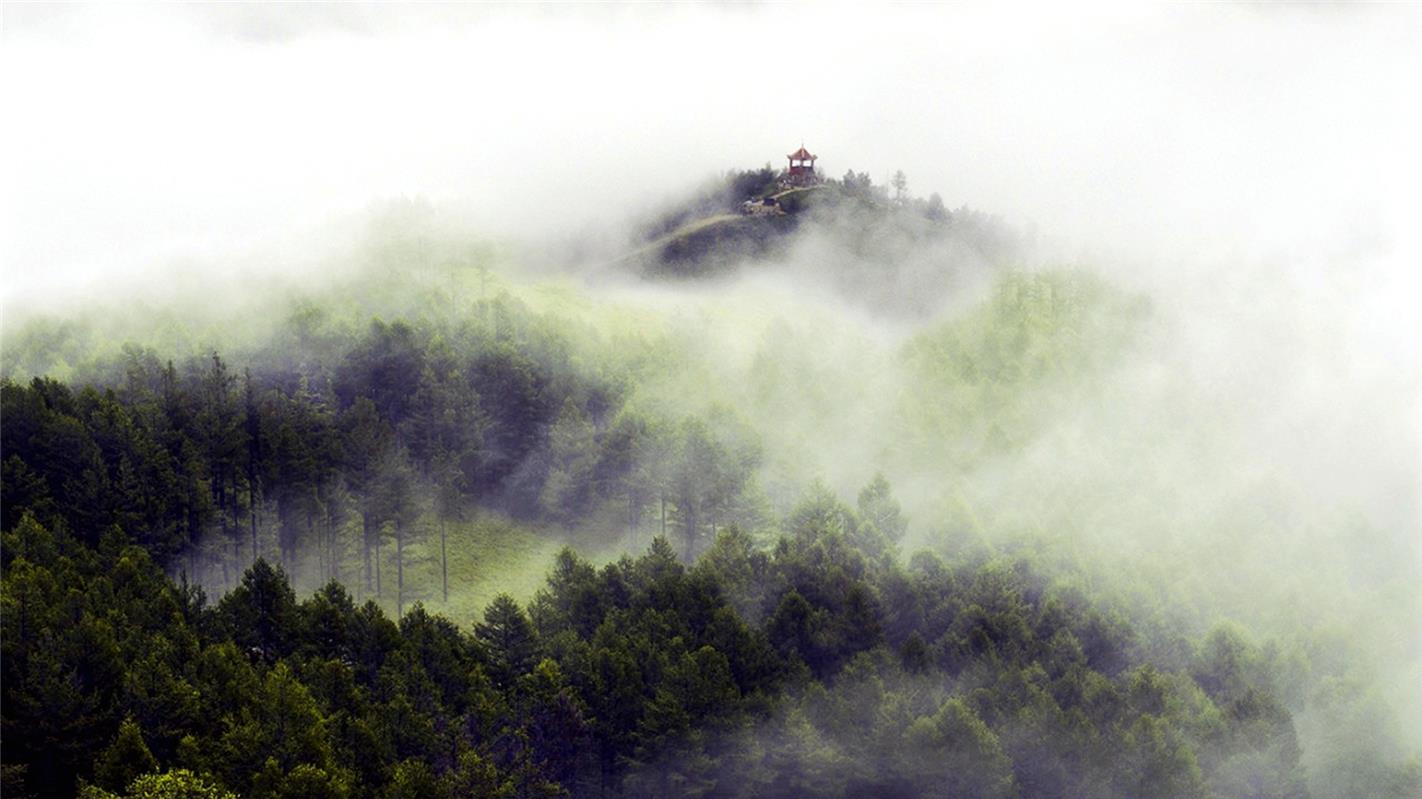 绰尔：感受内蒙古大兴安岭深处的幽美
