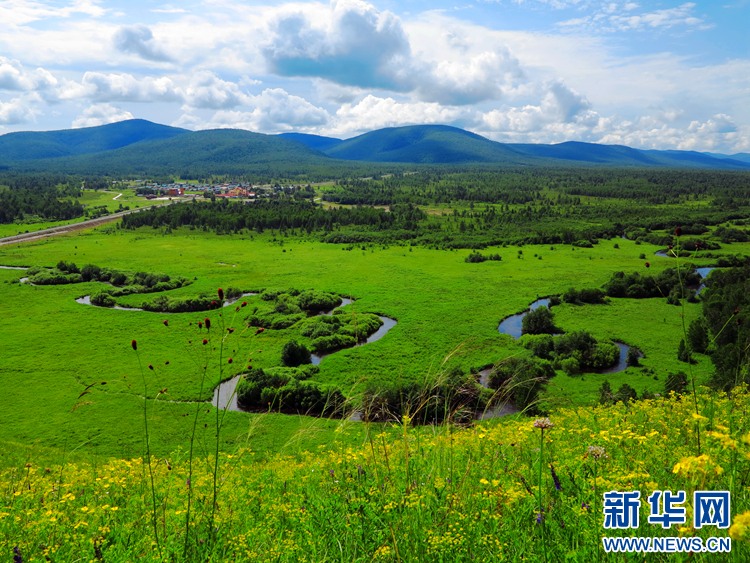 多彩夏季 极致草原
