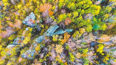 600公里的“移动画廊”