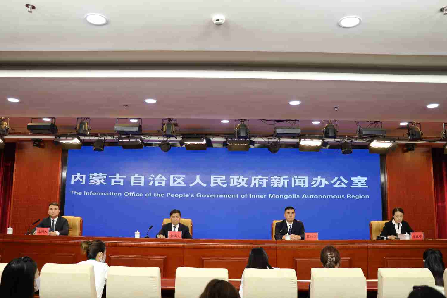 《关于健全重特大疾病医疗保险和救助制度的实施意见》政策吹风会