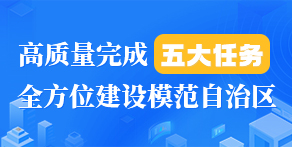 高质量完成五大任务 全方位建设模范自治区