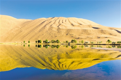 阿拉善右旗：大漠驼乡承古韵