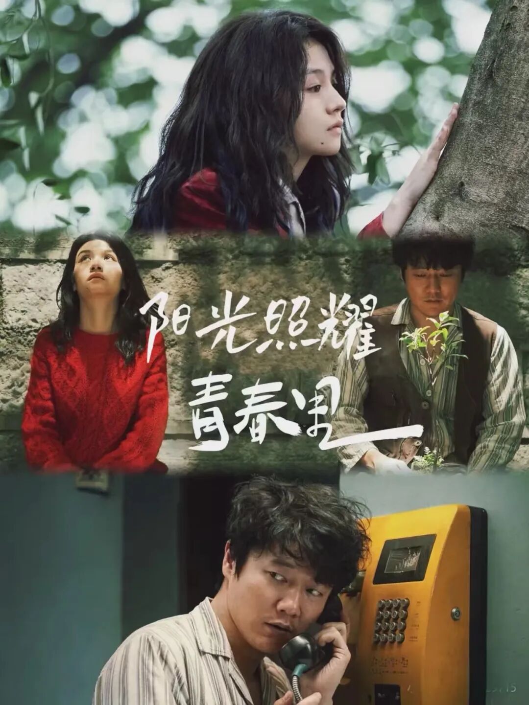 周末公益电影放映预告(9月12日—9月14日）